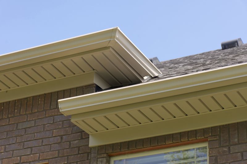 Exterior Window Trim Service in Olathe, KS